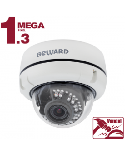 B1510DV. Видеокамера IP купольная. Beward в Красноярске