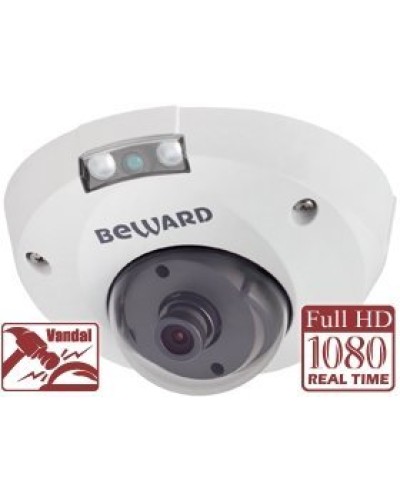NK55630D8. IP-камера купольная. Beward в Красноярске