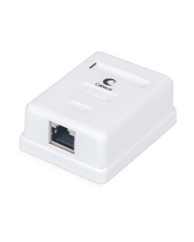 WS-8P8C-Cat.5e-SH-1 (7485c): Розетка RJ-45 в Красноярске