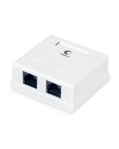 WS-8P8C-Cat.6-2 (7482c): Розетка RJ-45 в Красноярске