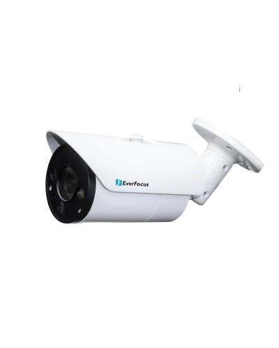 EZN-268V. Видеокамера IP купольная. EverFocus в Красноярске