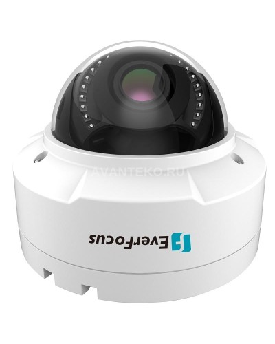 EHN-1250. Видеокамера IP купольная. EverFocus в Красноярске