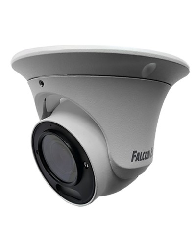FE-IPC-DV2-40pa. Видеокамера IP купольная. Falcon EYE в Красноярске