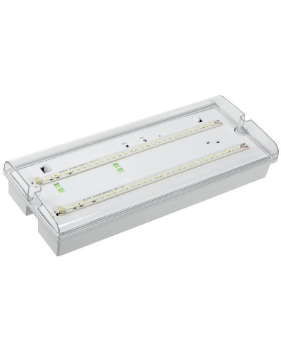 Светильник аварийный ДПА 5042-3 3ч IP65 LIGHTING (LDPA0-5042-3-65-K01). Светильник аварийный универсальный. IEK в Красноярске