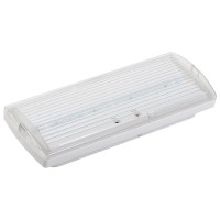 Светильник аварийный ДПА 5030-3 3ч IP20 LIGHTING (LDPA0-5030-3H-K01). Светильник аварийный постоянного действия. IEK