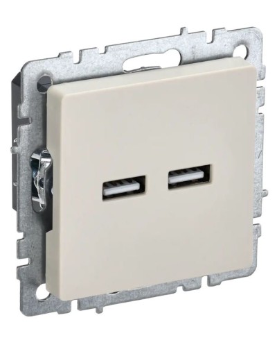 Розетка USB A+A 3,1А РЮ10-1-БрКр бежевый BRITE (BR-U21-D31-K10). Розетка USB. IEK в Красноярске