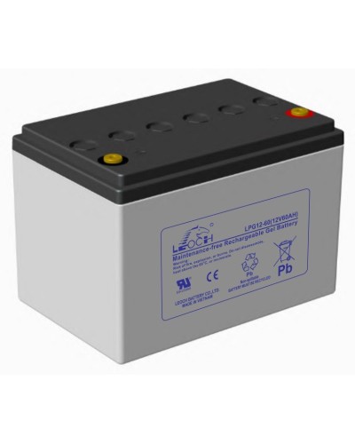 LEOCH LPG 12-60. Аккумулятор герметичный свинцово-кислотный. LEOCH в Красноярске
