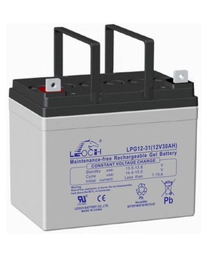 LEOCH LPG 12-31. Аккумулятор герметичный свинцово-кислотный. LEOCH в Красноярске