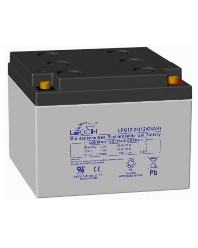 LEOCH LPG 12-24. Аккумулятор герметичный свинцово-кислотный. LEOCH в Красноярске
