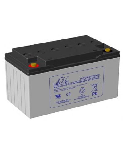LEOCH LPG 12-65. Аккумулятор герметичный свинцово-кислотный. LEOCH в Красноярске