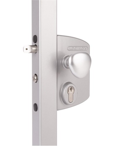 LIKQ4040 U2L (цвет: RAL 9005, черный). Замок электромеханический для калиток. Locinox в Красноярске