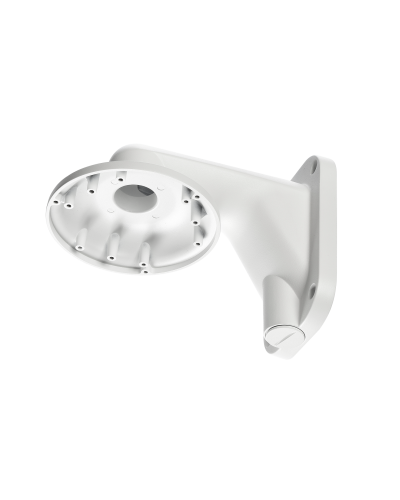 RVi-1BWM-5 white. Кронштейн настенный. RVi в Красноярске