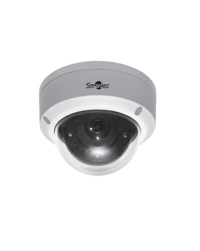 STC-IPMA5520A/1. Видеокамера IP купольная. Smartec в Красноярске