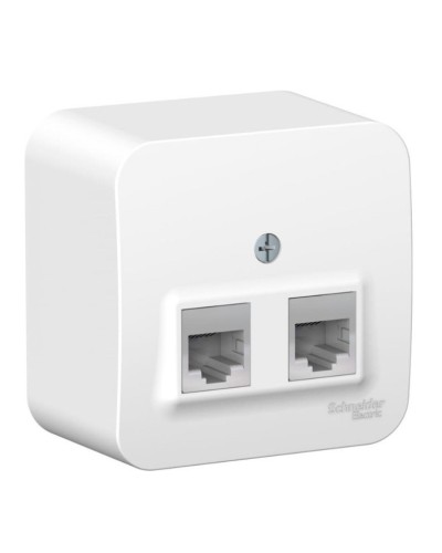 BLANCA розетка RJ11+RJ45, 2-местная, кат. 5Е, открытой установки, белый (BLNIA045111). Розетка компьютерная + телефонная с изолированной пластиной. Systeme Electric в Красноярске