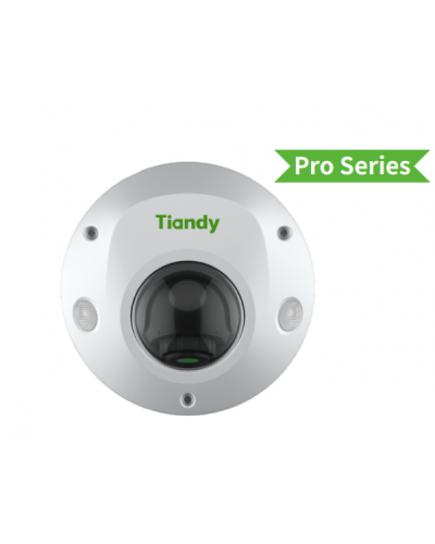 TC-C35PS I3/E/Y/M/H/2.8/V4.2. Видеокамера IP купольная. Tiandy в Красноярске