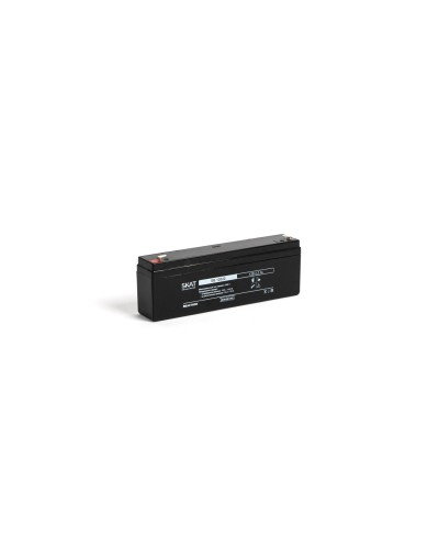 SKAT SB 12022 (2539). Аккумулятор герметичный свинцово-кислотный. Бастион в Красноярске