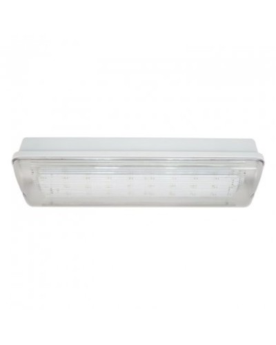 SL-223-30LED1.8 исп. 1, IP65. Светильник аварийного освещения. ИП Раченков А.В. в Красноярске