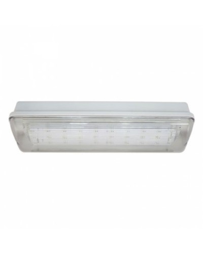 SL-213-30LED1.8 исп.1 IP54. Светильник аварийного освещения. ИП Раченков А.В. в Красноярске
