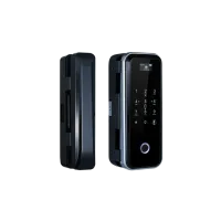 ALFL-06BW. Замок электромеханический накладной биометрический. Alarmico