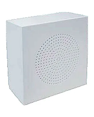WS-06T. Громкоговоритель настенный. ROXTON в Красноярске