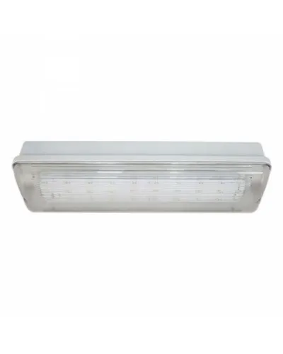 SL-213-30LED1.8 исп. 1 IP65. Светильник аварийного освещения. ИП Раченков А.В. в Красноярске